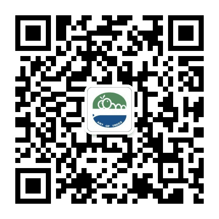 大木术少儿艺术公众号二维码