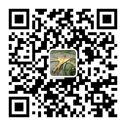 北京大兴国际机场公众号二维码