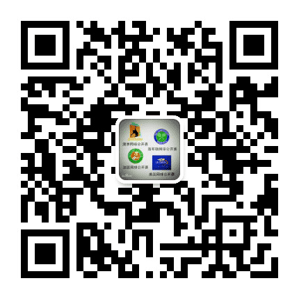 巴中美丽弧线公众号二维码