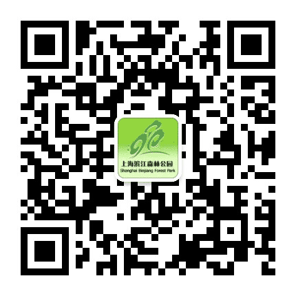 上海滨江森林公园公众号二维码