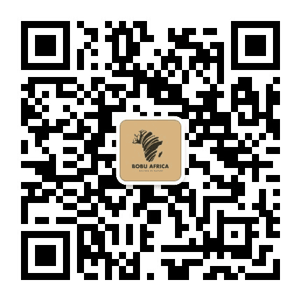 波布非洲公众号二维码