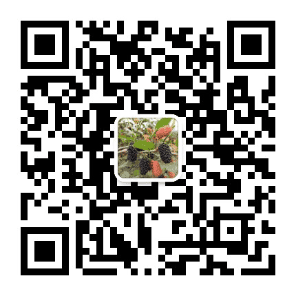 春意田园公众号二维码