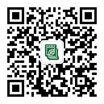 杉树青年公众号二维码