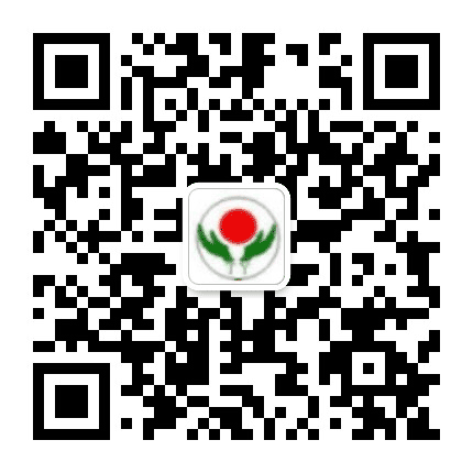 东莞市大朗童艺幼儿园公众号二维码