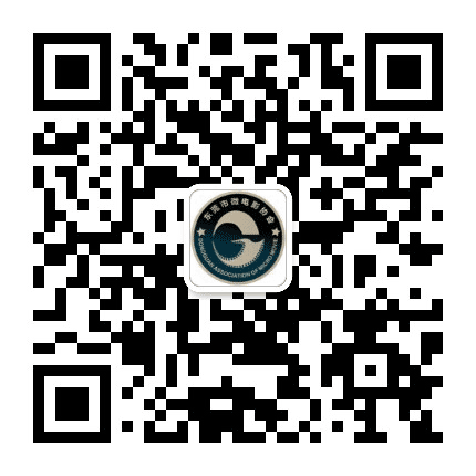 东莞市微电影协会公众号二维码