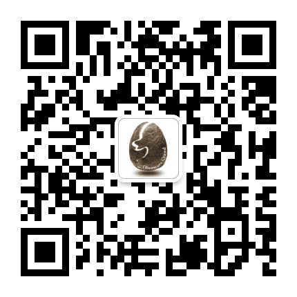 恐龙狂人广告公众号二维码