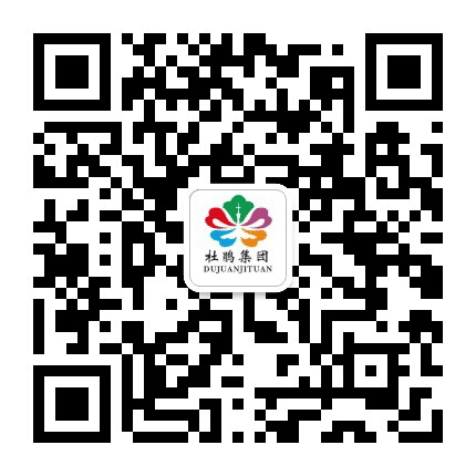 杜鹃集团公众号二维码