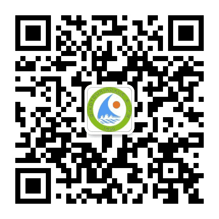 桂林市桥头小学公众号二维码