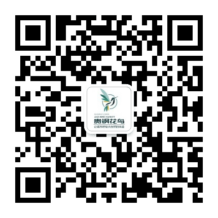 贵阳阳明花鸟市场公众号二维码