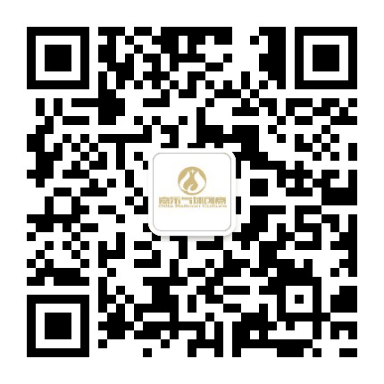 嘉乐气球创意公众号二维码