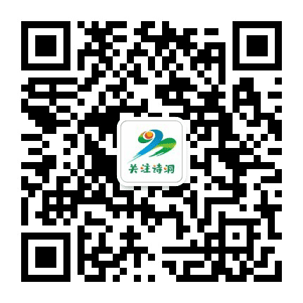 关注诗洞公众号二维码