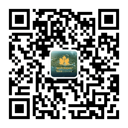 湖北鄂州梧桐湖公众号二维码