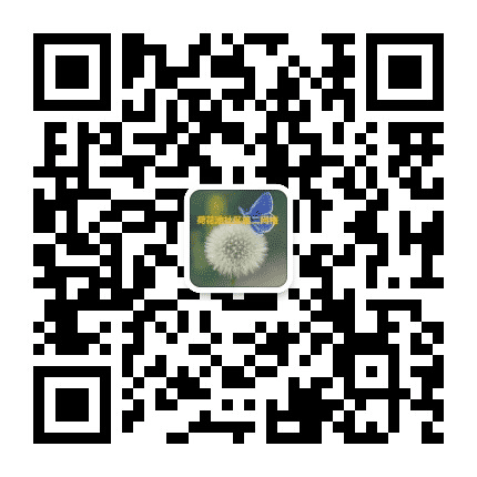 荷花池社区第二网格公众号二维码