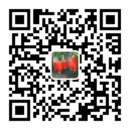 利通公众号二维码