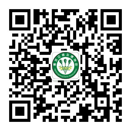 黑龙江省飞镖协会公众号二维码