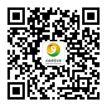 三亚水稻国家公园公众号二维码