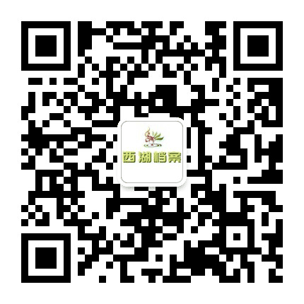 西湖档案公众号二维码