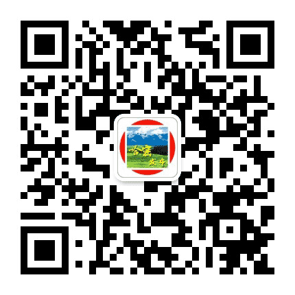 哈密发布公众号二维码