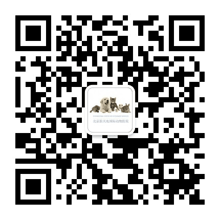 ICVS北京新天地国际动物医院公众号二维码