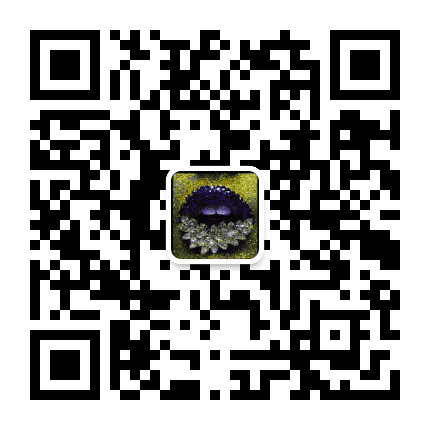 Kevin臻尚视觉公众号二维码