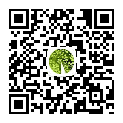 四棵树公众号二维码