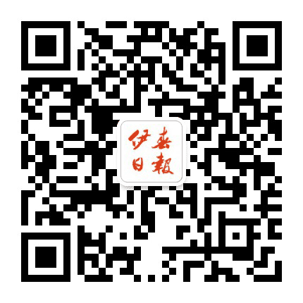掌上林城公众号二维码