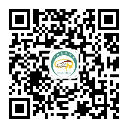 广州龙凤租车公司公众号二维码