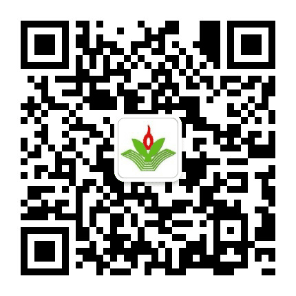 大沥镇六联小学公众号二维码