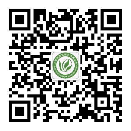 凌桥小学公众号二维码