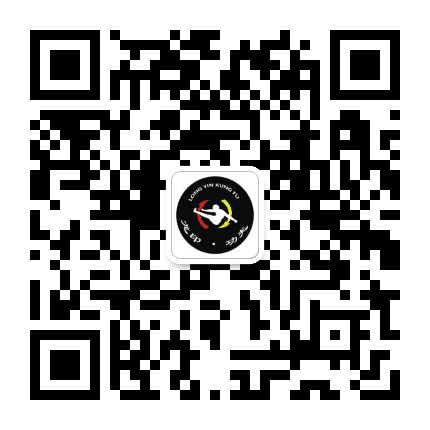 龙印功夫公众号二维码