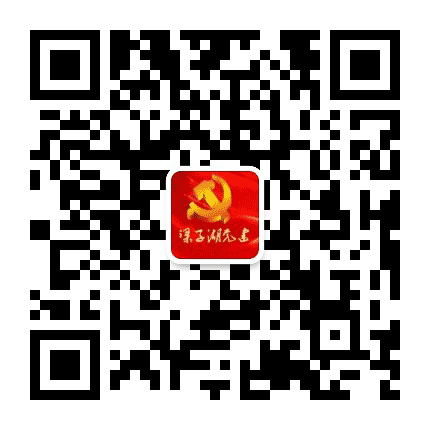 梁子湖党建公众号二维码