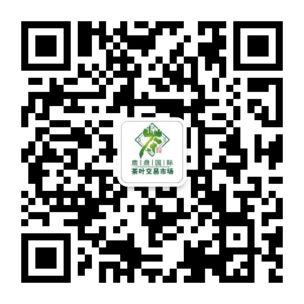 鹿鼎国际茶城公众号二维码