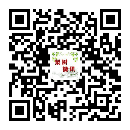 梨树微讯公众号二维码
