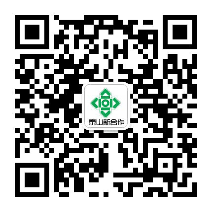 泰山新合作公众号二维码