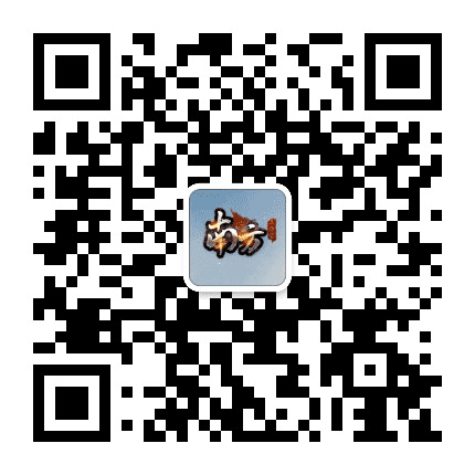 南方团队公众号二维码