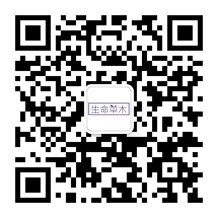 碧得璞商学院公众号二维码