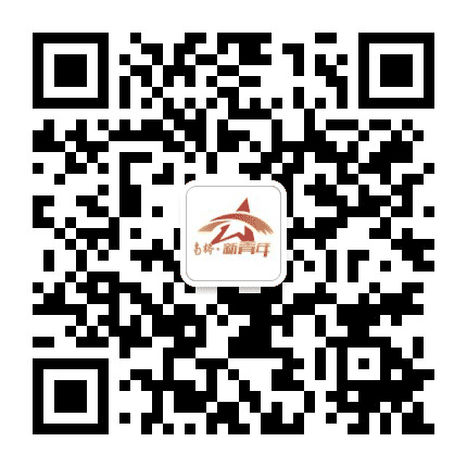 南桥新青年公众号二维码