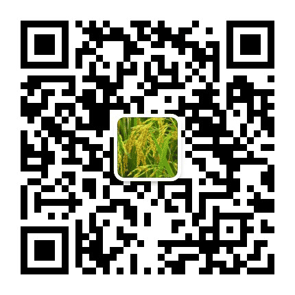 宁夏利通添福源公众号二维码