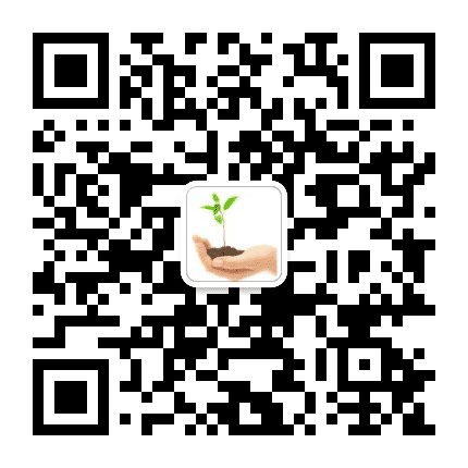 RootsEDU公众号二维码