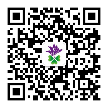 山东紫荆公众号二维码