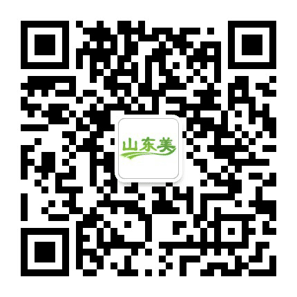 山东美公众号二维码