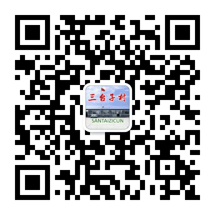 三台子小村庄公众号二维码