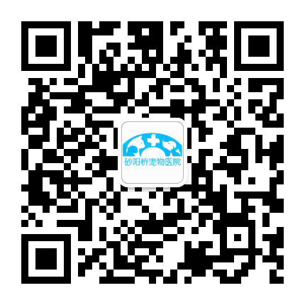 砂阳桥宠物医院公众号二维码