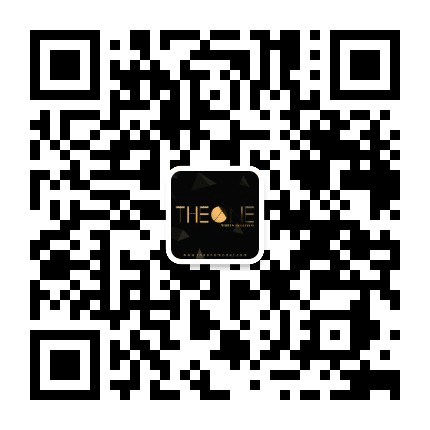 THEONEMODELS泽万外模公众号二维码