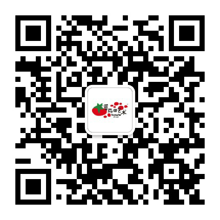 蕃茄田艺术上海宝山牡丹江路校区公众号二维码