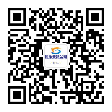 广东江门同乐公棚公众号二维码