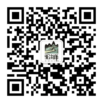 驼峰茶公众号二维码