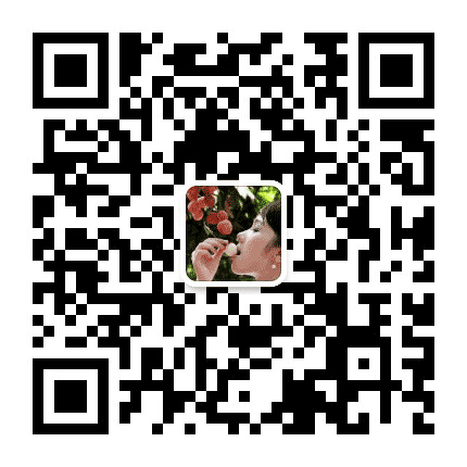 粤西生活圈公众号二维码