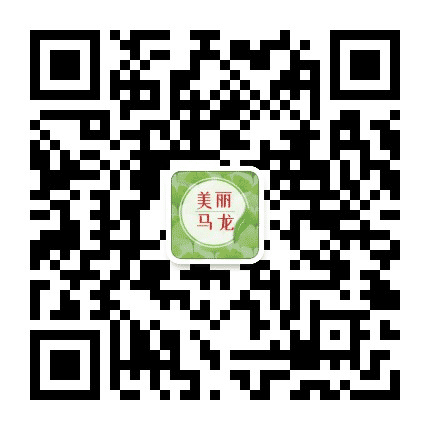 WF马龙村公众号二维码