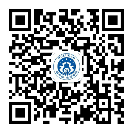 兴城919公众号二维码